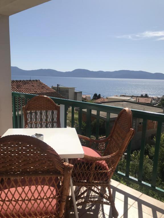 Apartmani Zderic Gradac  Εξωτερικό φωτογραφία