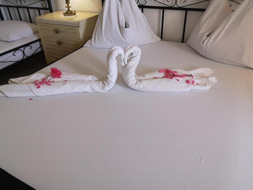 Apartmani Zderic Gradac  Εξωτερικό φωτογραφία
